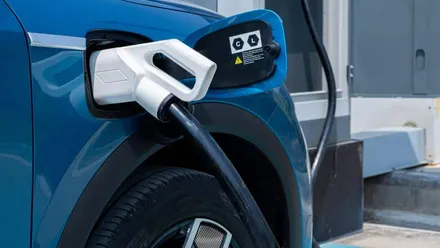 byd e o mercado de combustíveis