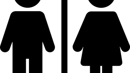 NR24