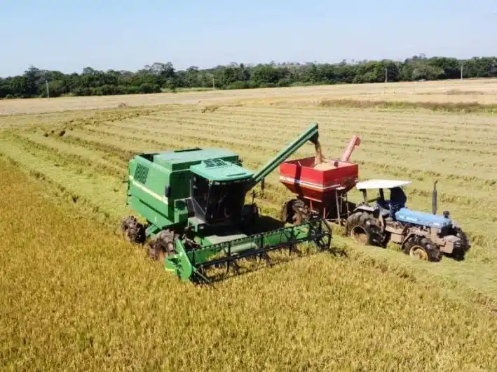 Crise de Diesel no Rio Grande do Sul interrompe produção de arroz